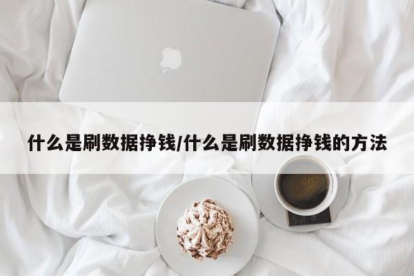 什么是刷数据挣钱/什么是刷数据挣钱的方法